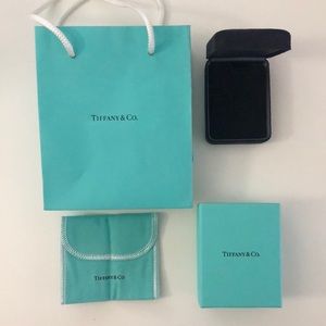 New Tiffany and co gift bag with box, pouch, and necklace box.